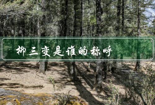 柳三变是谁的称呼