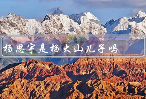 杨思宇是杨大山儿子吗
