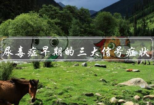 女性尿毒症早期的三大信号症状