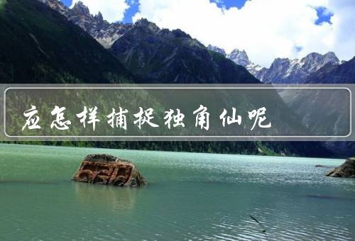 应怎样捕捉独角仙呢