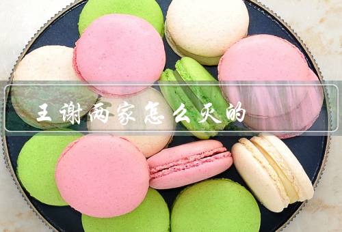 王谢两家怎么灭的