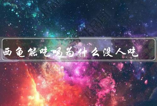 巴西龟能吃吗为什么没人吃
