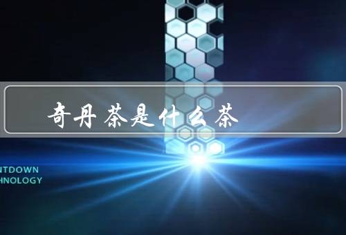 奇丹茶是什么茶，是纯种大红袍属于乌龙茶（岩茶之冠）