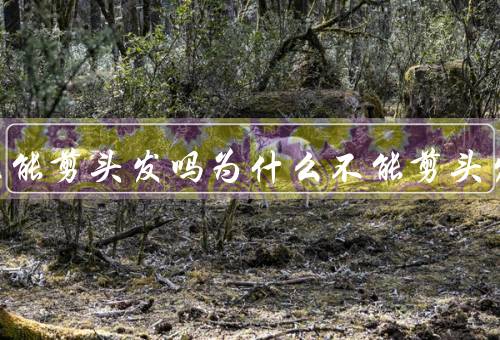正月不能剪头发吗为什么不能剪头发