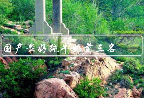 国产最好纯牛奶前三名