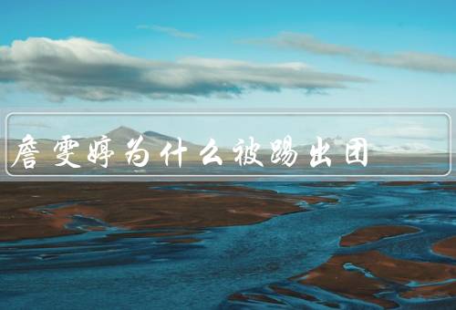 詹雯婷为什么被踢出团