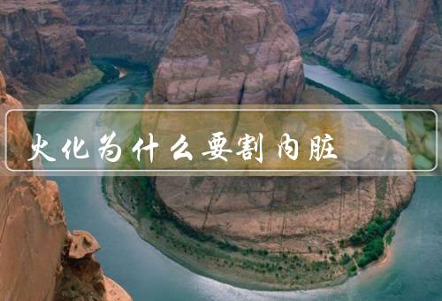 火化为什么要割内脏