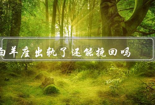 白羊座出轨了还能挽回吗，可以（分享5个方法80%）