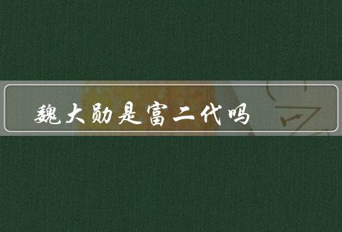 魏大勋是富二代吗