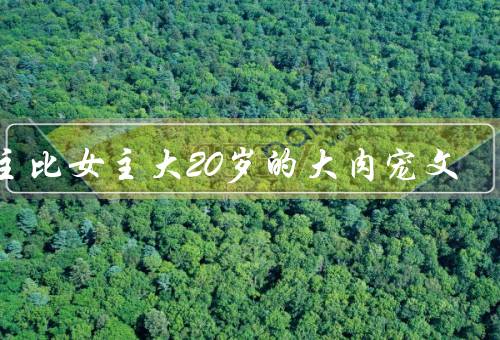 男主比女主大20岁的大肉宠文