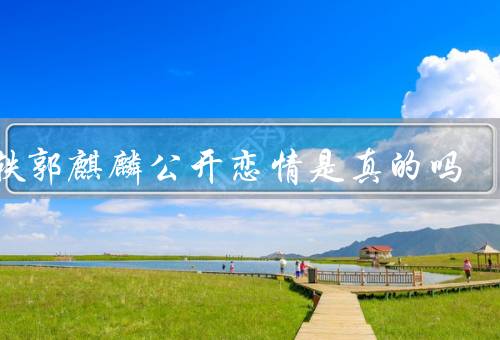 宋轶郭麒麟公开恋情是真的吗