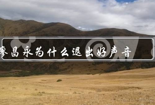 廖昌永为什么退出好声音