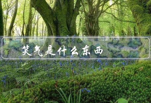 笑气是什么东西