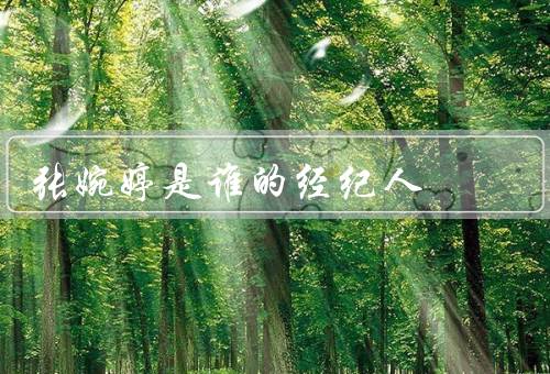 张婉婷是谁的经纪人