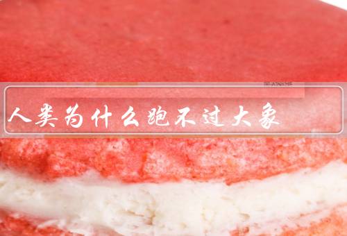 人类为什么跑不过大象？冲刺速度快，肌肉强大（人类无法比较）