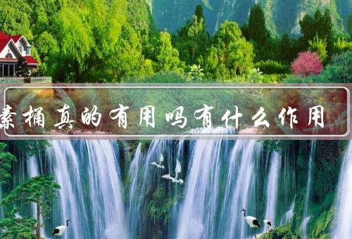 酵素桶真的有用吗有什么作用