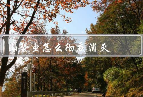 山蛩虫怎么彻底消灭