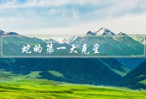 蛇的第一大克星