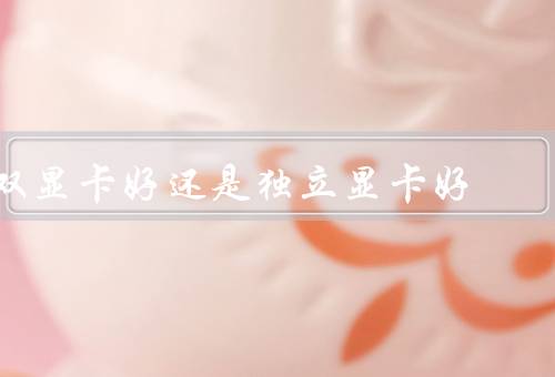 双显卡好还是独立显卡好