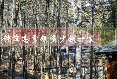 钟薛高雪糕多少钱一支
