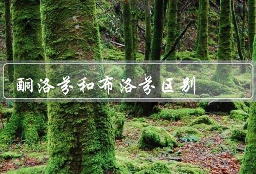 酮洛芬和布洛芬区别