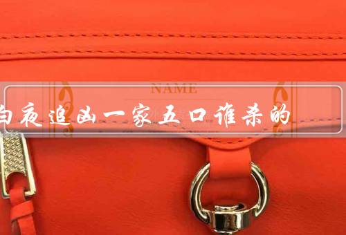 白夜追凶一家五口谁杀的