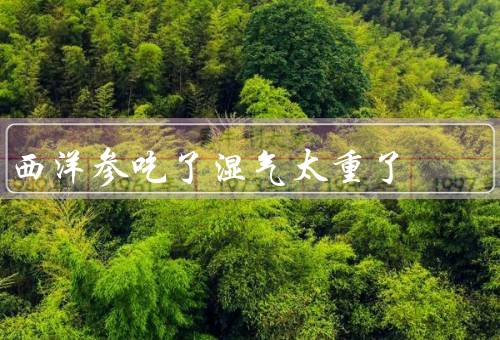 西洋参吃了湿气太重了