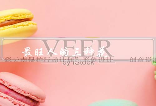 最旺人的三种花
