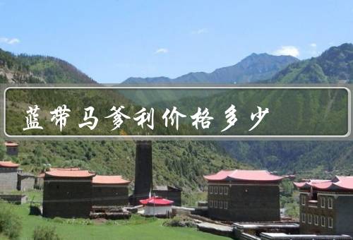 蓝带马爹利价格多少