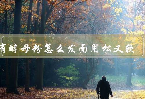没有酵母粉怎么发面用松又软