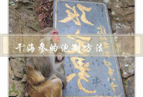 干海参的泡制方法，史上最详细的干海参泡发步骤