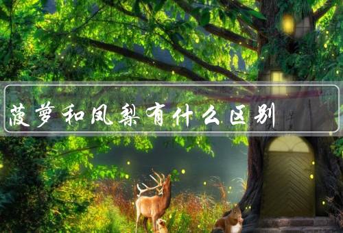 菠萝和凤梨有什么区别