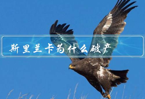 斯里兰卡为什么破产
