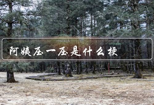 阿姨压一压是什么梗