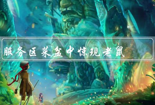 服务区菜盆中惊现老鼠