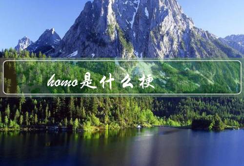 homo是什么梗
