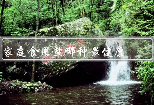 家庭食用盐哪种最健康