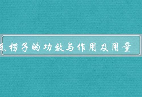 煅瓦楞子的功效与作用及用量