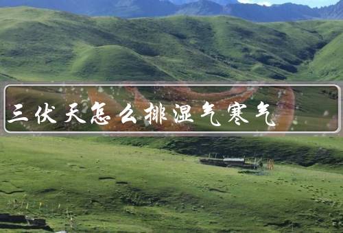 三伏天怎么排湿气寒气