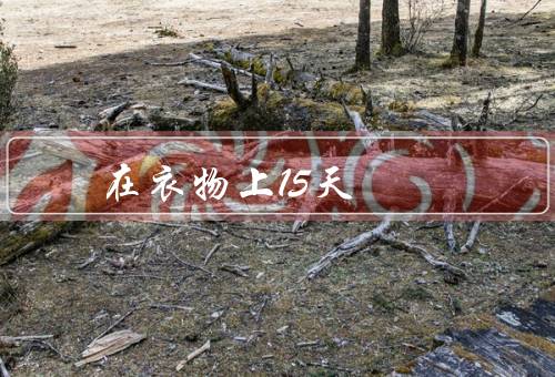 在衣物上15天