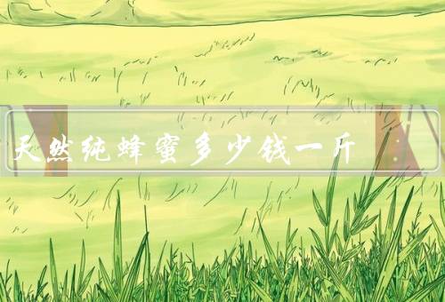 天然纯蜂蜜多少钱一斤
