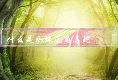 什么是蜘蛛尾角毒蛇
