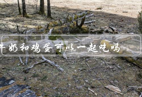 牛奶和鸡蛋可以一起吃吗