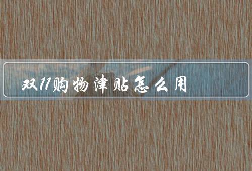 双11购物津贴怎么用