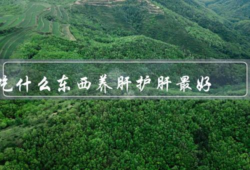 吃什么东西养肝护肝最好