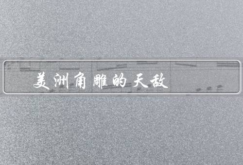 美洲角雕的天敌