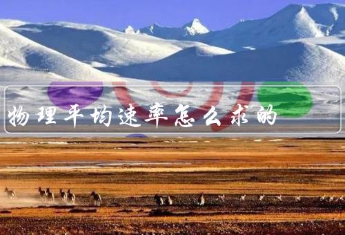 物理平均速率怎么求的