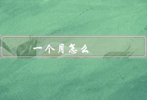一个月怎么
