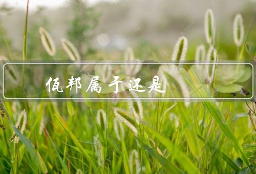 佤邦属于还是