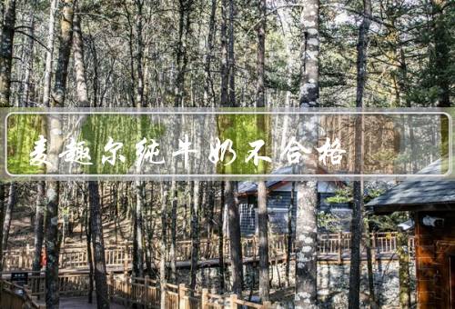 麦趣尔纯牛奶不合格